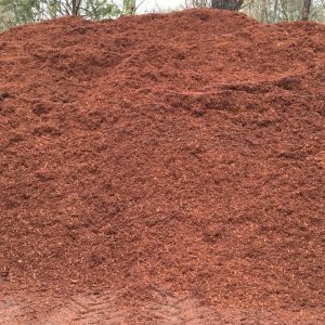 Hemlock Mulch