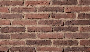 Eldorado Brick Veneer RomaBrick