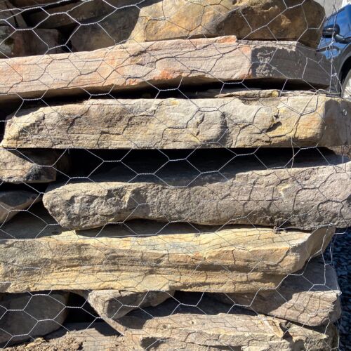 PA fieldstone garden Steppers