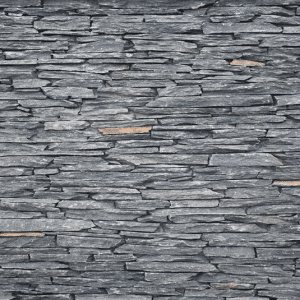Pangaea Microledge