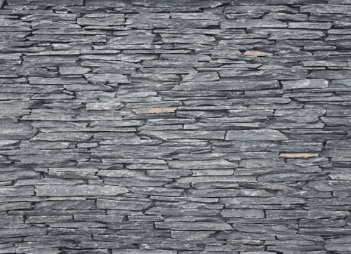 Pangaea Microledge