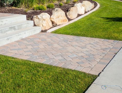 Ultimate Guide: How to Clean Pavers Efficiently