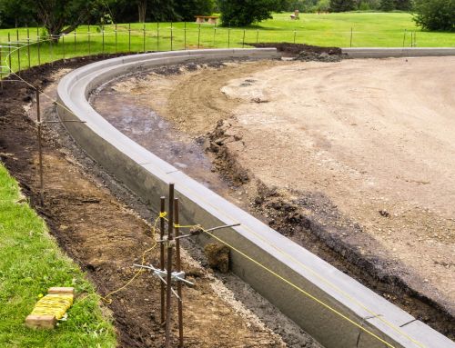 Edging and Curbing: The Complete Guide to Professional Landscape Borders