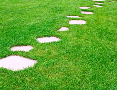 What are Stepping Stones in Landscaping? A Complete Guide for Homeowners