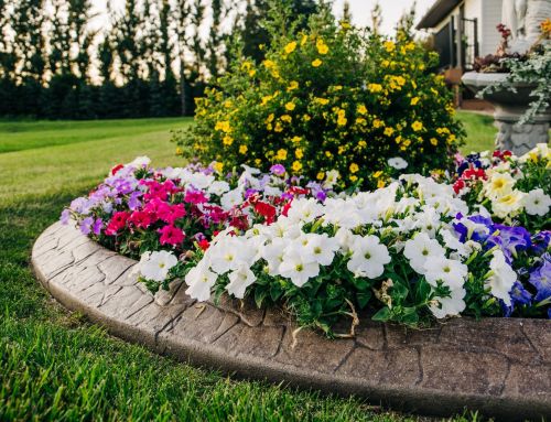 What to Know Before You Start Curbing Your Landscape