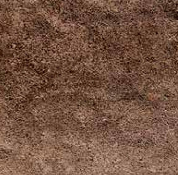 Nicolock Rockface Treads Brown