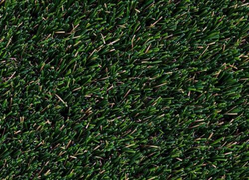 MSI Evergrass Summer Gold 96