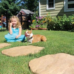 Nicolock Stepping Stones
