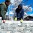 Everything You Need to Know About Masonry Supplies