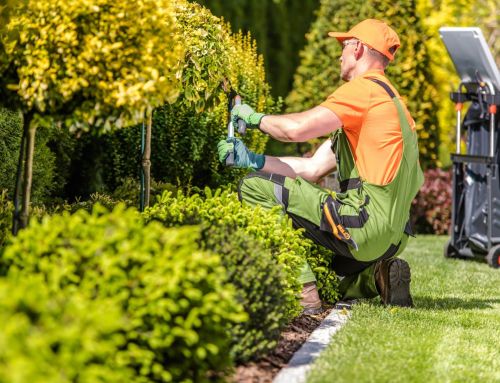 What is Commercial Landscaping? Benefits, Types, and Tips