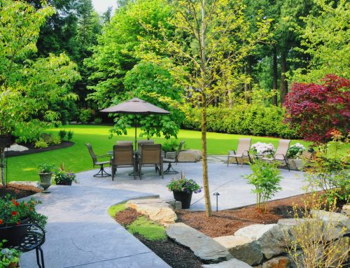What Is Hardscaping? Definition, Types, and Benefits