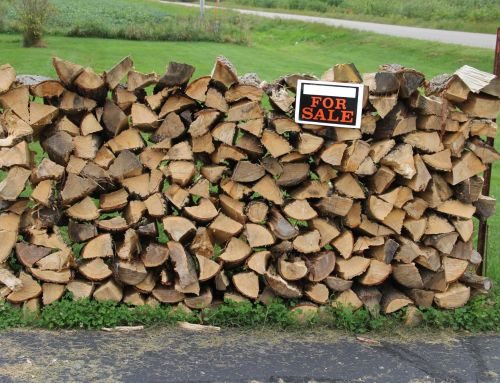 Cord of Firewood: The Complete Buyer’s Guide for Homeowners