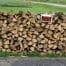 Cord of Firewood: The Complete Buyer’s Guide for Homeowners