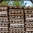 Seasoned Firewood What It Is and Why It Matters