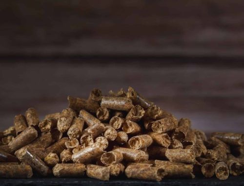 Wood Fuel Pellets: Benefits, Costs, and Buying Guide