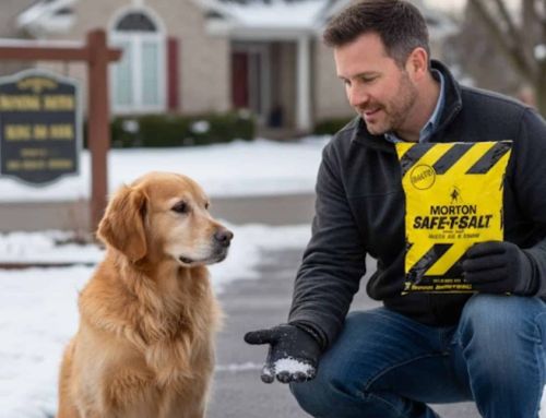 Is Morton Rock Salt Safe for Pets? What You Need to Know