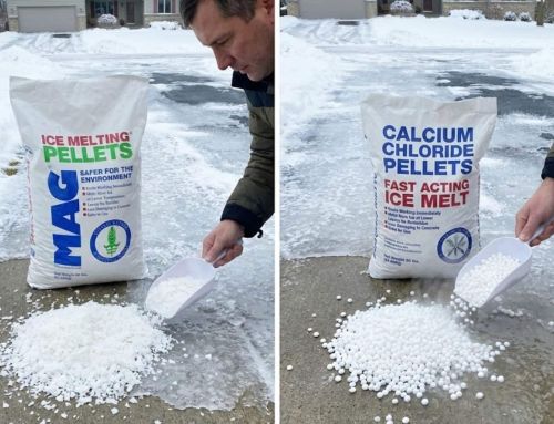 Magnesium Chloride vs Calcium Chloride: Which Is Better?