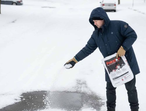 Peladow Calcium Chloride Pellets: Best Ice Melter