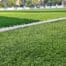 How to Lay Artificial Turf on Grass